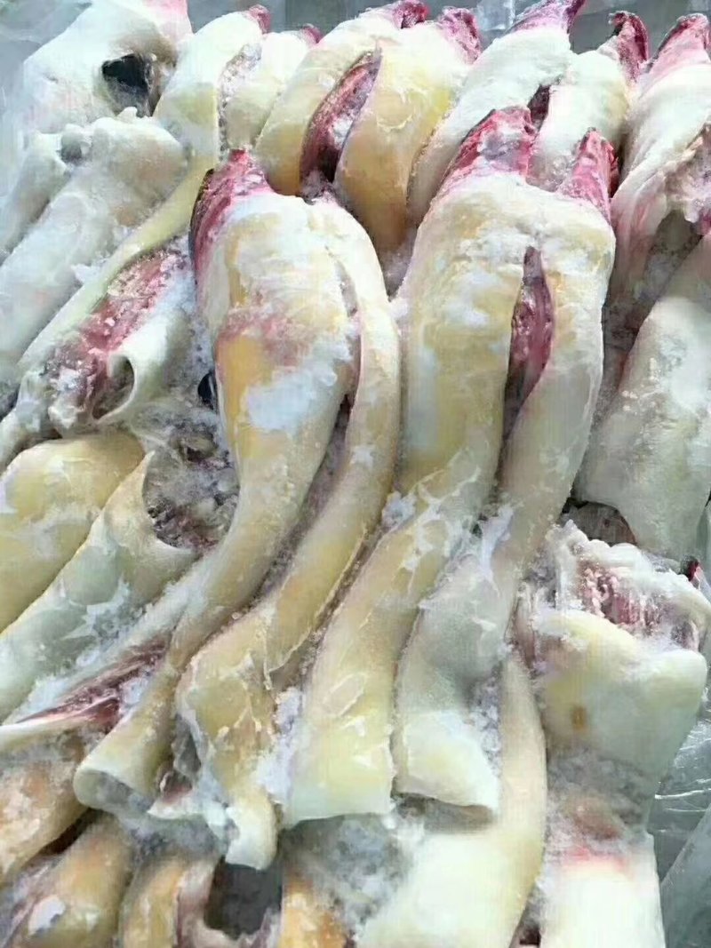 牛蹄