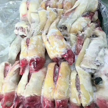 牛蹄