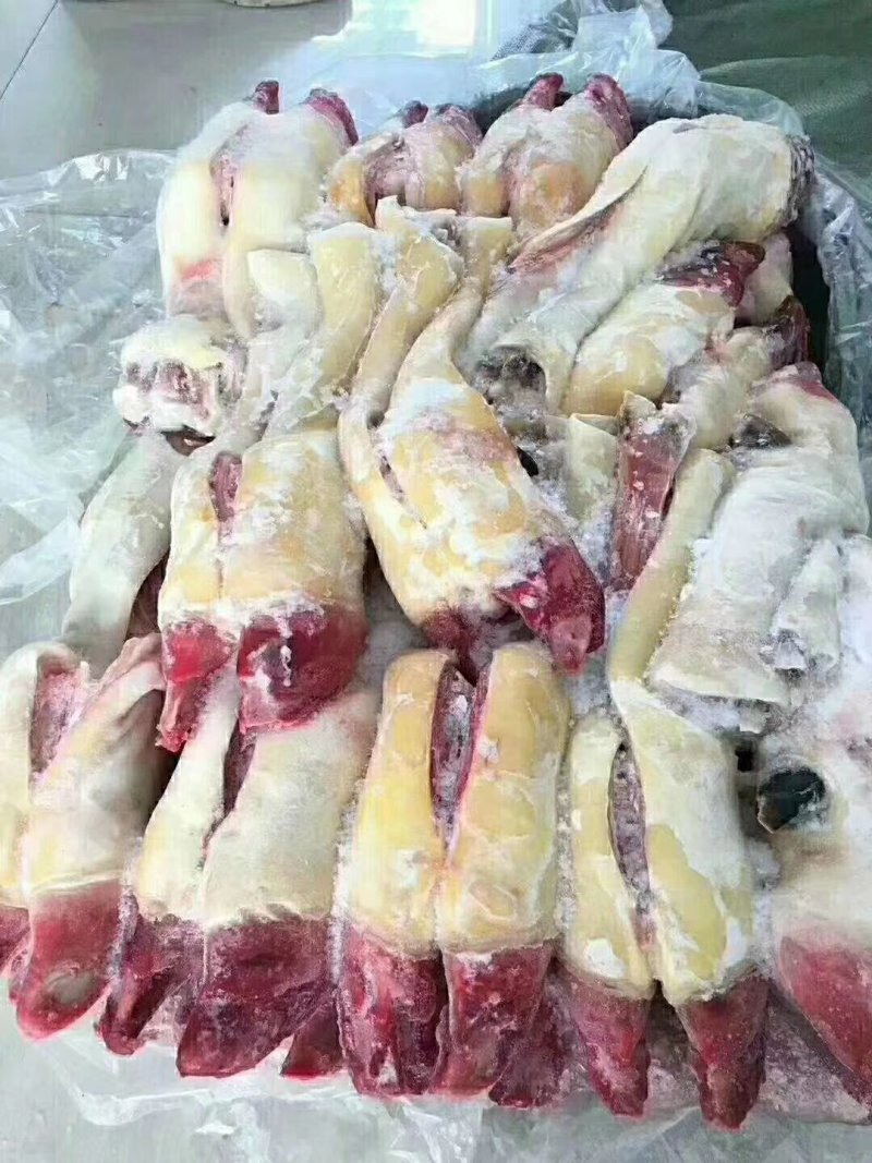 牛蹄