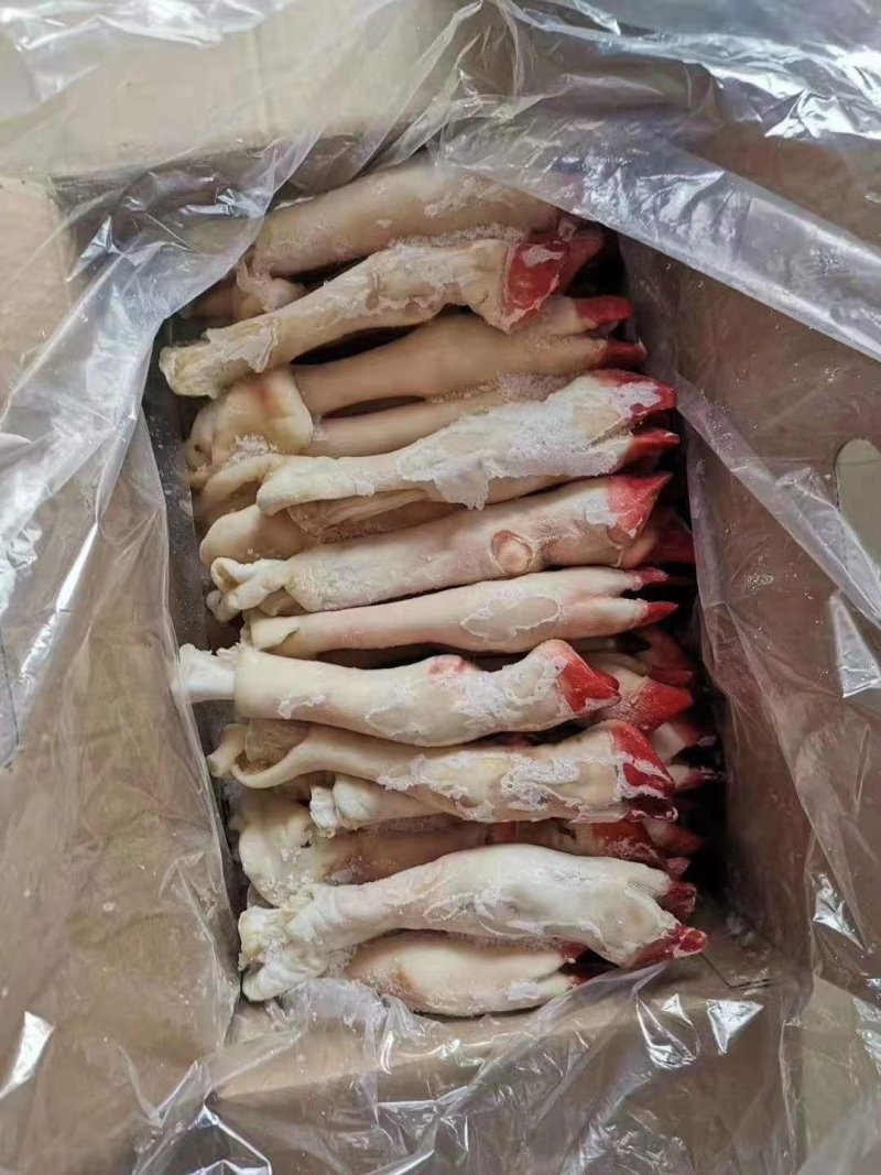 羊蹄，大，中，小号，