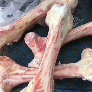 牛骨头，牛羊副产品大全