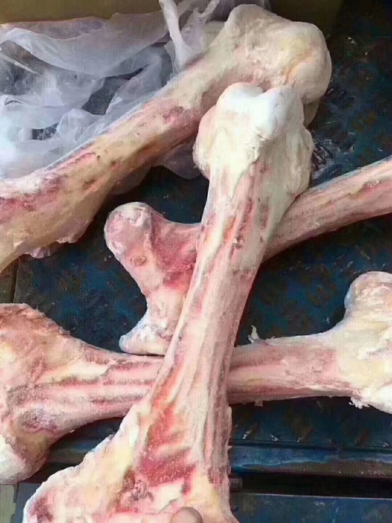 牛骨头，牛羊副产品大全