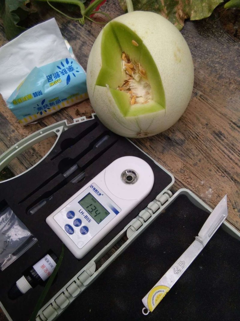 【支持一件】玉菇甜瓜，冰淇淋口感香甜，婴儿都可以吃的