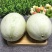 【支持一件】玉菇甜瓜,冰淇淋口感香甜,婴儿都可以吃的