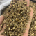 柴胡藏柴胡含量达药典要求。无硫磺熏蒸一公斤起批