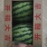 西瓜