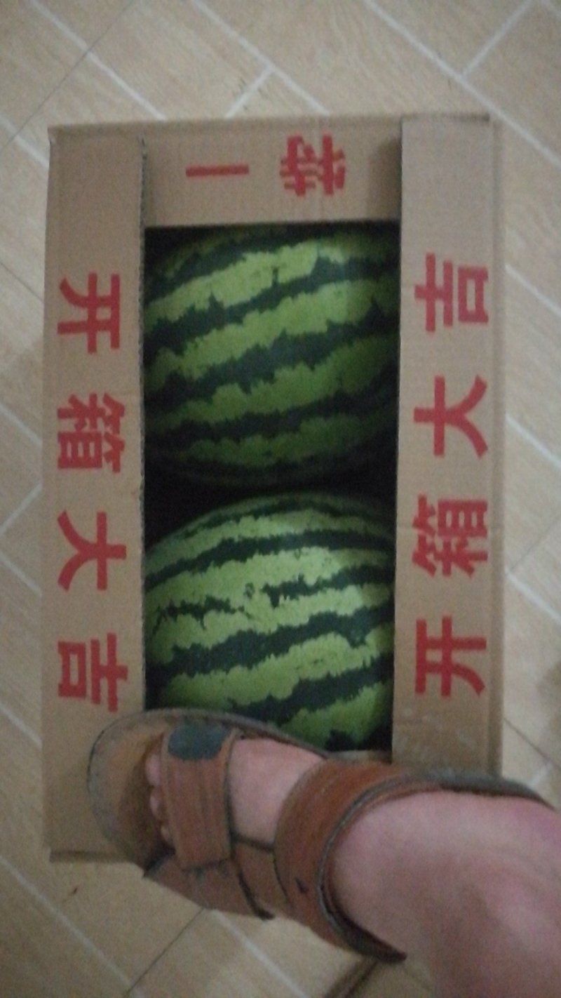 西瓜