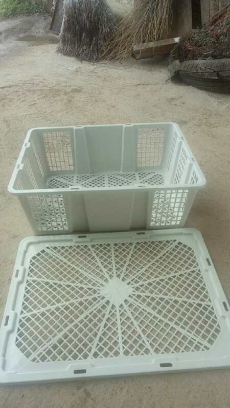 蜜橘筐_李子筐_枇杷筐_杏子筐加厚加重韧性好，工厂批发