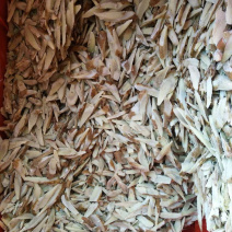 冷冻，热风干燥牛蒡片，牛蒡屑
