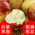 大荔县冬枣，20万亩冬枣供应