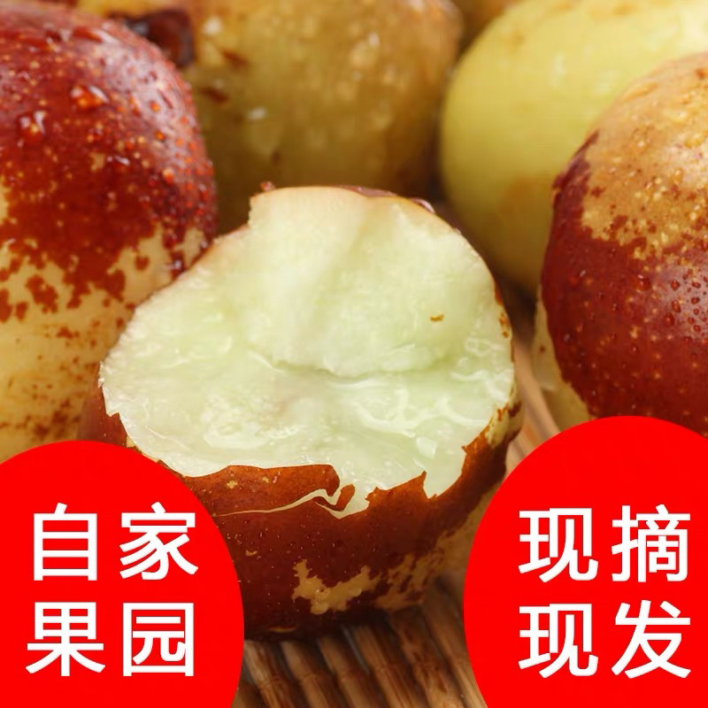 大荔县冬枣，20万亩冬枣供应