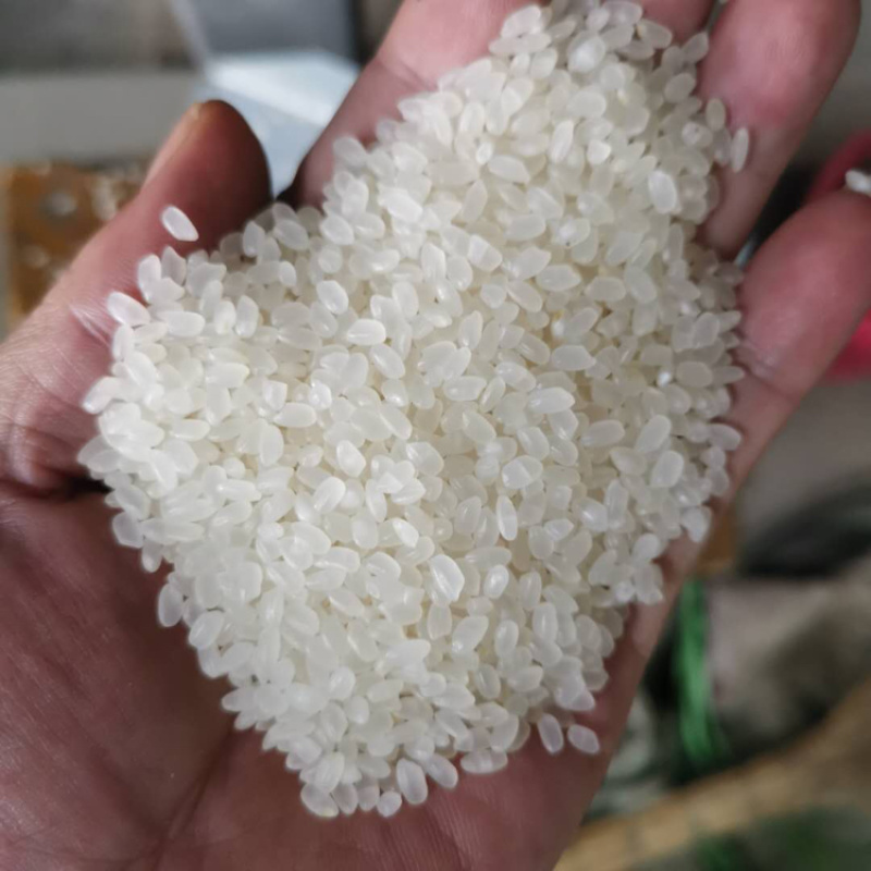 山东大米，东北大米，工厂全年不断货，便宜大米珍珠米