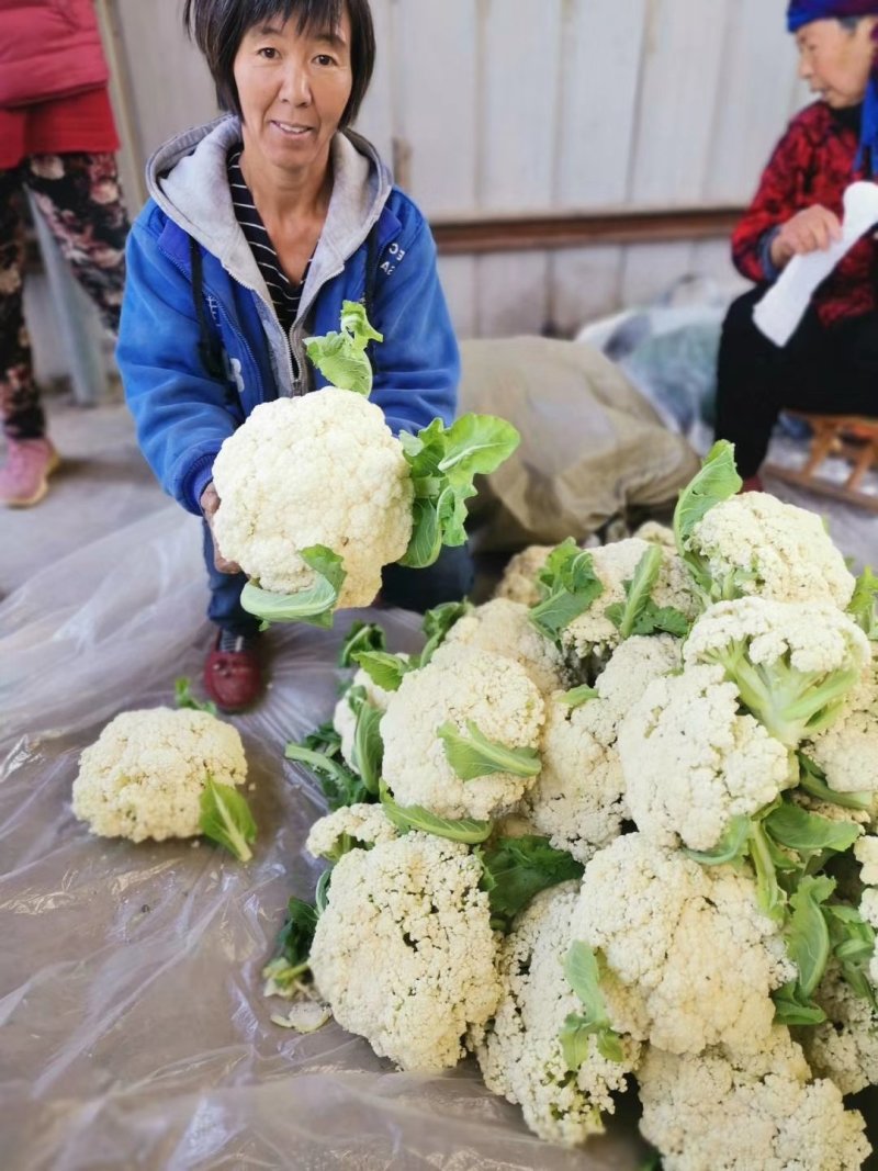 有机菜花，潍坊青州，青梗白面有机菜花。。