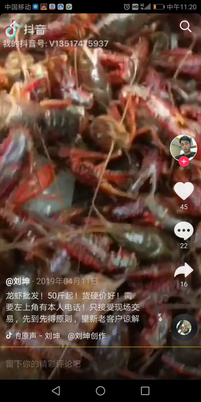 龙虾不值钱了，来就送了，欢迎敲打敲打