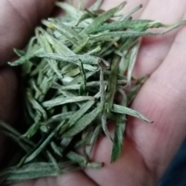 信阳毛尖商城高山茶