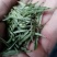 信阳毛尖商城高山茶