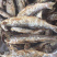 油炸蓝刀鱼（不加粉）