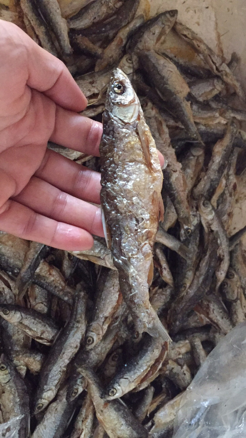 油炸蓝刀鱼（不加粉）