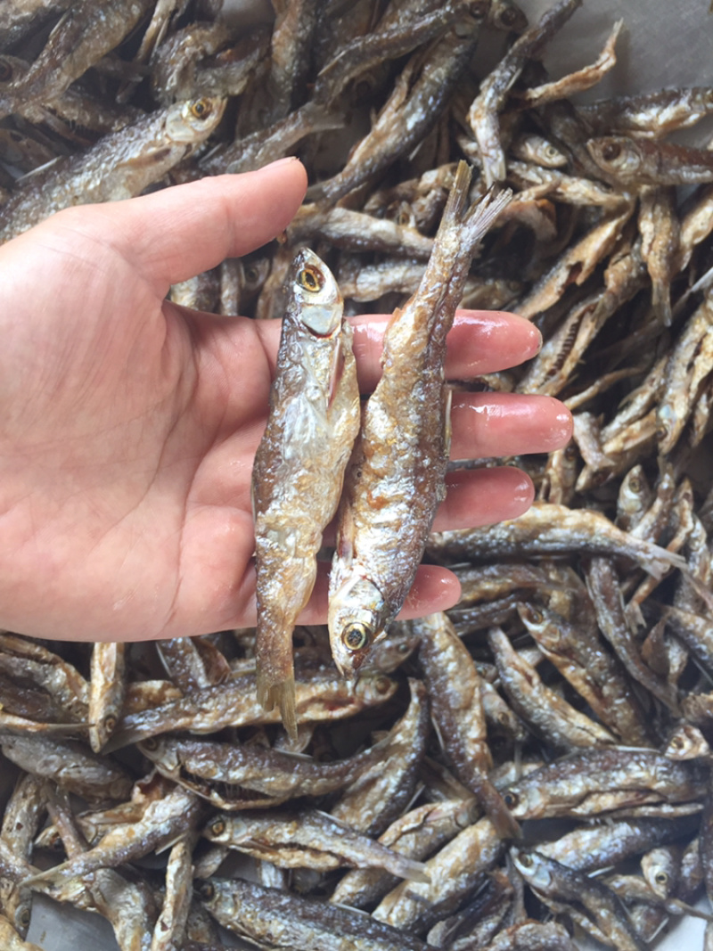 油炸蓝刀鱼（不加粉）