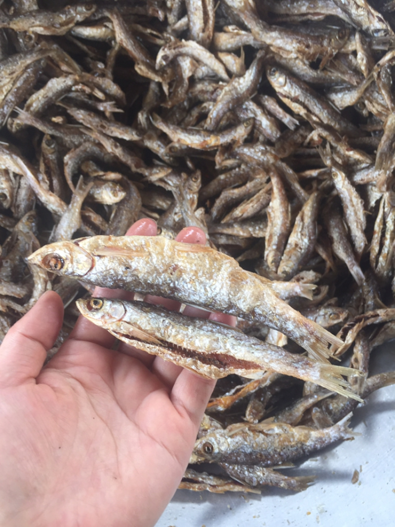 油炸蓝刀鱼（不加粉）