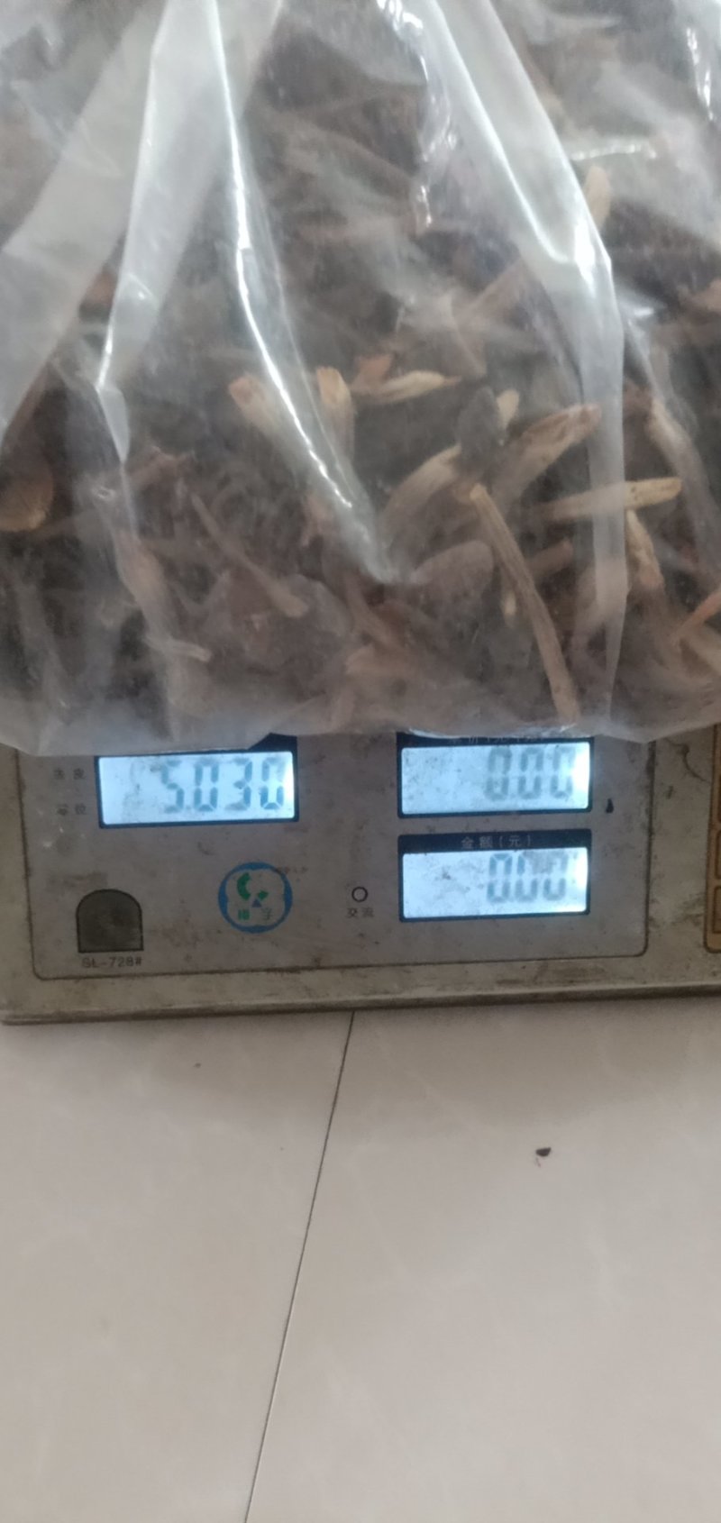 黑皮鸡枞菌干品菌香味持久浓厚