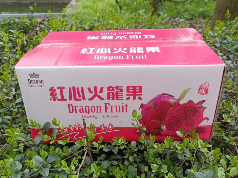 越南红心火龙果5斤一件代发无痕接发代理