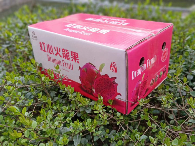 越南红心火龙果5斤一件代发无痕接发代理