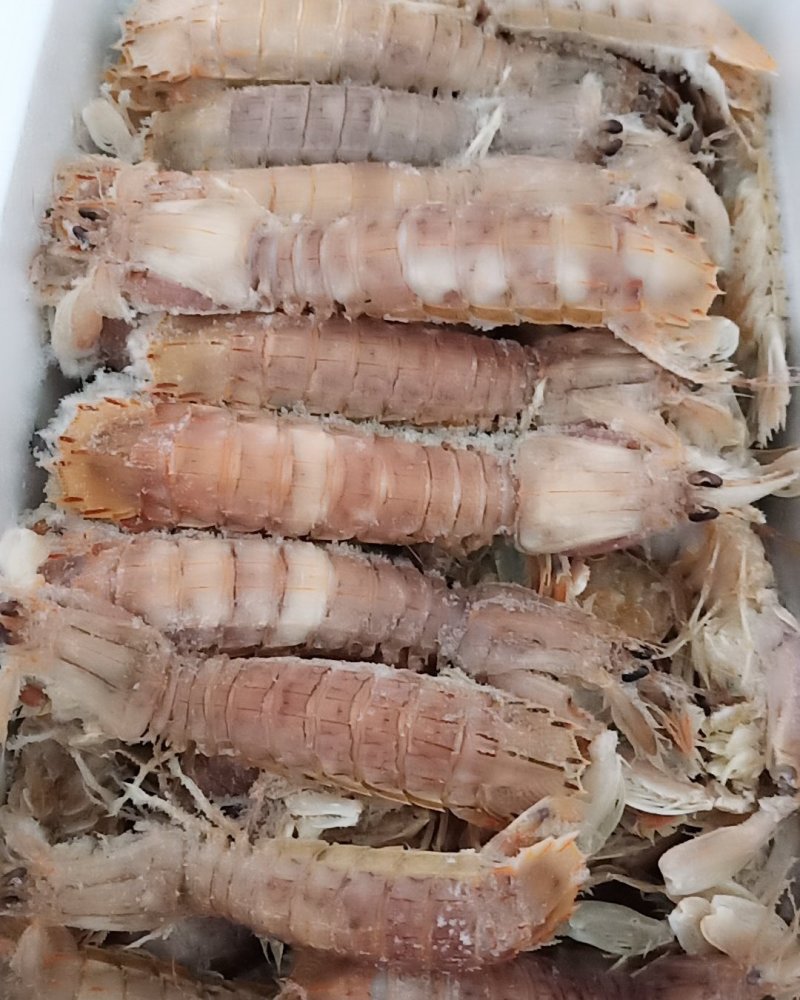 熟冻皮皮虾产自黄勃海肉多壳薄