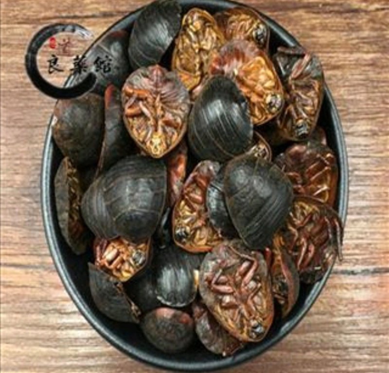 土鳖虫土鳖虫水洗腹，药典标准，质优价实，支持线上交易保