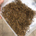 今年新茶头春金骏眉金骏眉红茶500g包邮