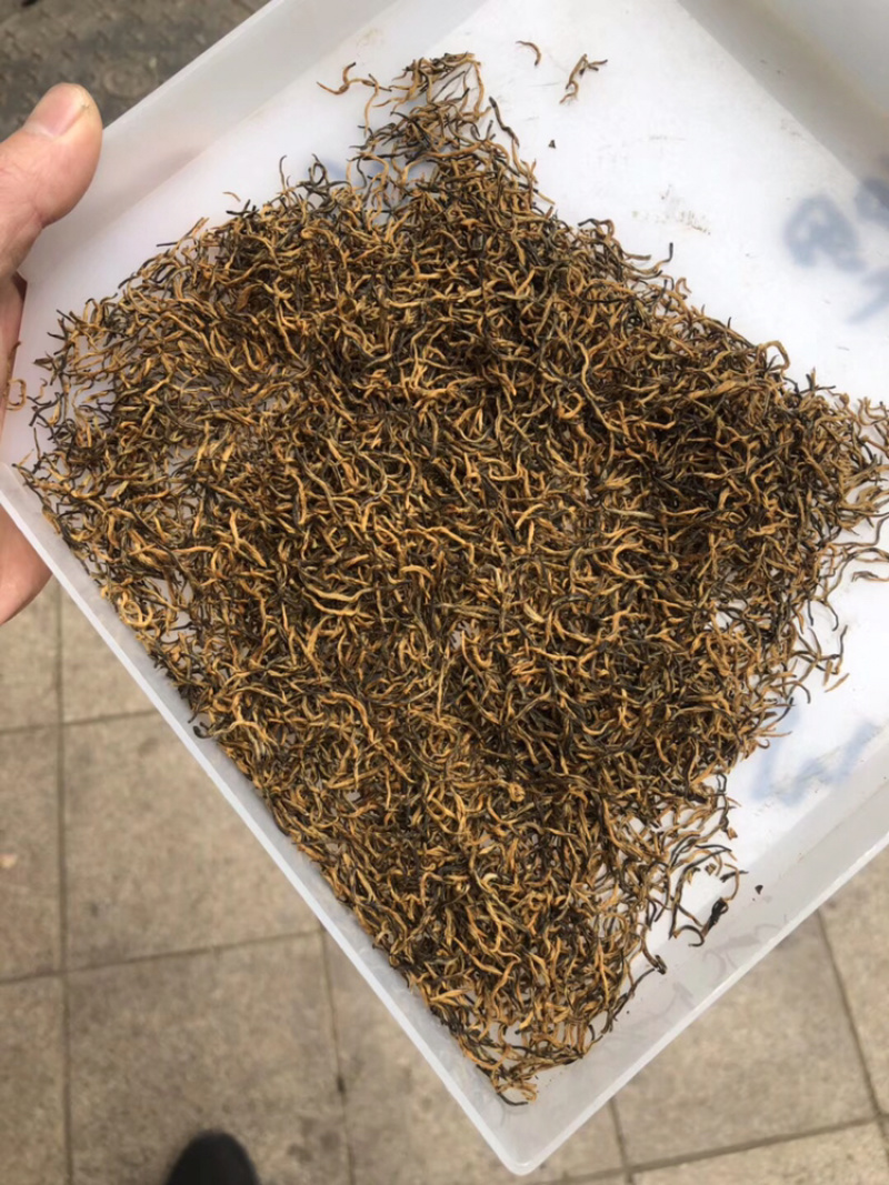 今年新茶头春金骏眉金骏眉红茶500g包邮