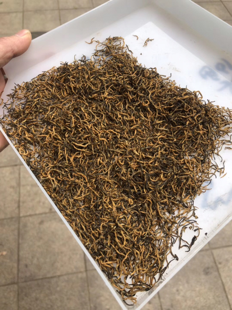 今年新茶头春金骏眉金骏眉红茶500g包邮