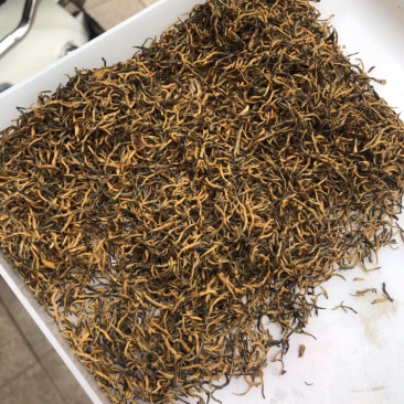 今年新茶头春金骏眉金骏眉红茶500g包邮