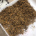 今年新茶头春金骏眉金骏眉红茶500g包邮