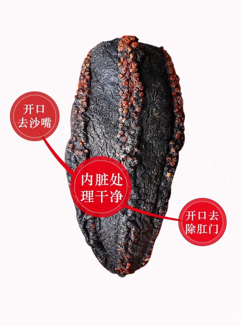 加拿大红极参足干原始品质纯淡干海参批发零售