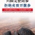 加拿大红极参足干原始品质纯淡干海参批发零售