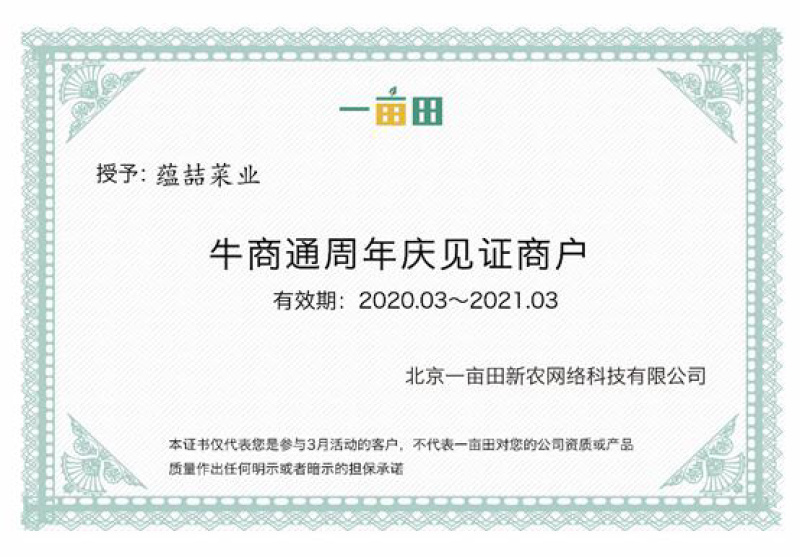 【上海青油菜】山东菏泽蔬菜基地，代收代发车，质量保证