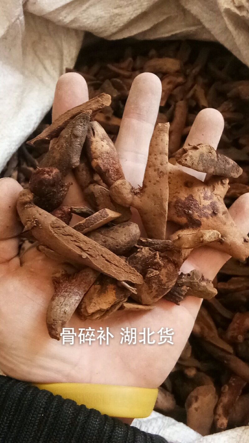 骨碎补申姜毛姜爬岩姜无硫各种中药材