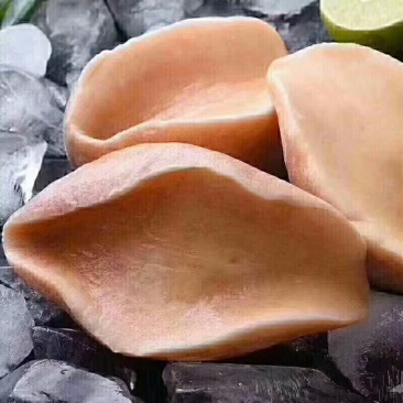 澳州鲍鱼，澳鲍，鲜活速冻