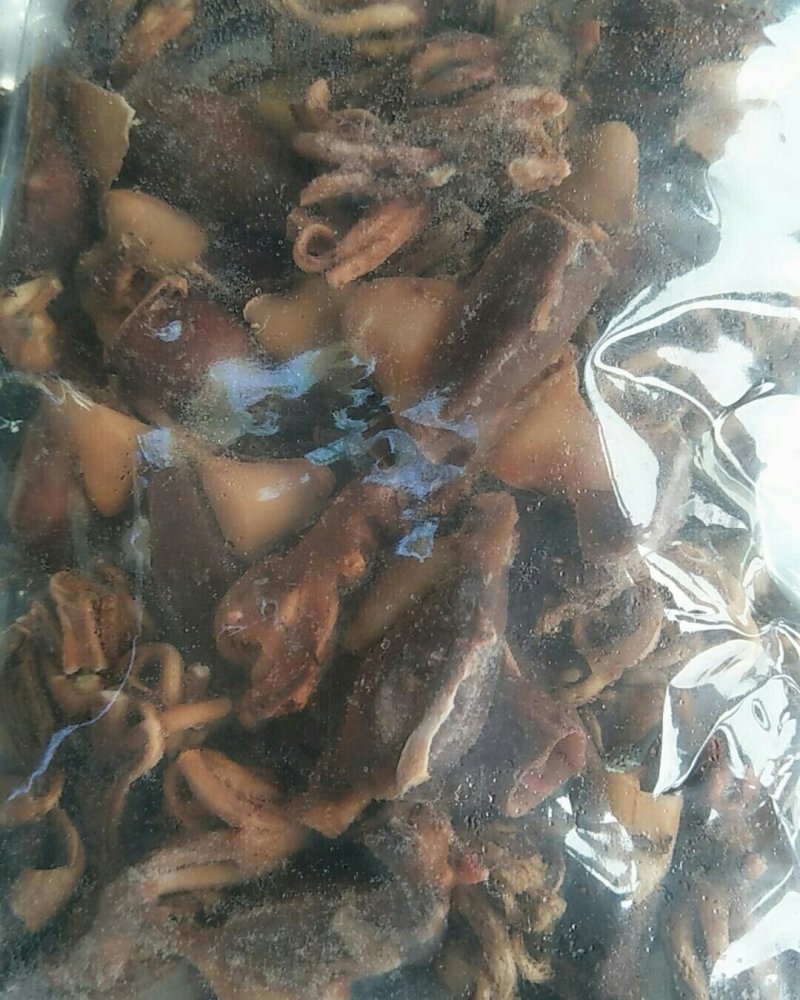 鲜活速冻小海兔，鲜活速冻小海兔