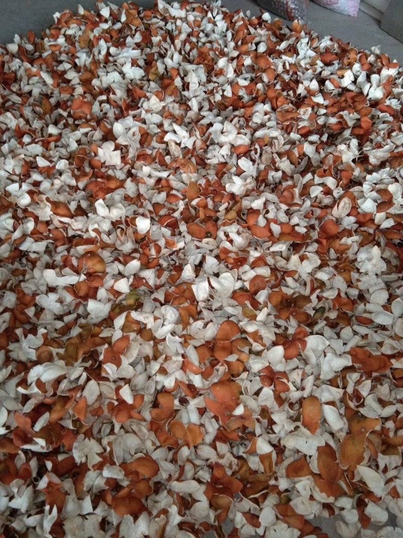 陈皮产地一手货源直销全红选货