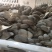 河南省太康县农缘农业发展有限公司，智贤食用菌种植专合作社