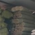 种地便携式小墩子代替板凳供应大量大棚配件