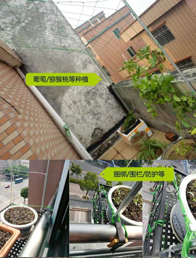 包邮绿钢丝绳包塑葡萄架遮阳网晾衣绳牵引大棚猕猴桃百香果5