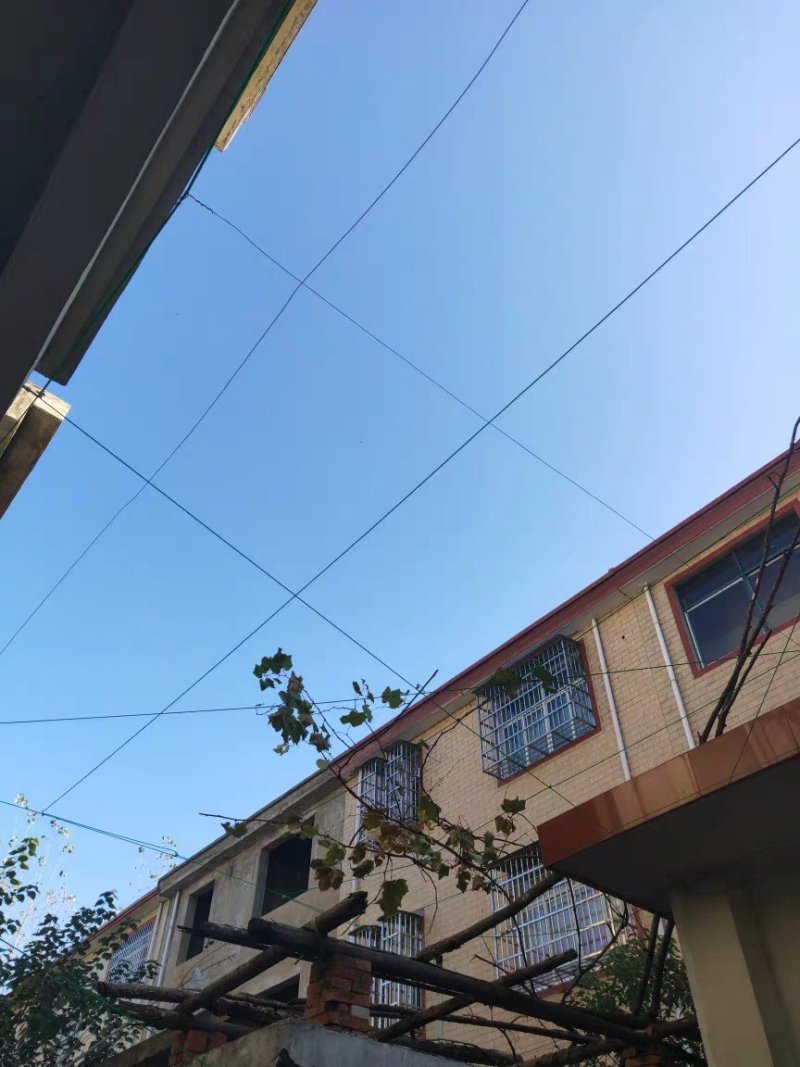 包邮绿钢丝绳包塑葡萄架遮阳网晾衣绳牵引大棚猕猴桃百香果5