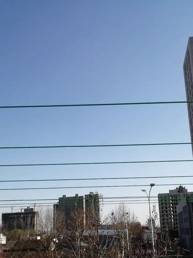 包邮绿钢丝绳包塑葡萄架遮阳网晾衣绳牵引大棚猕猴桃百香果5