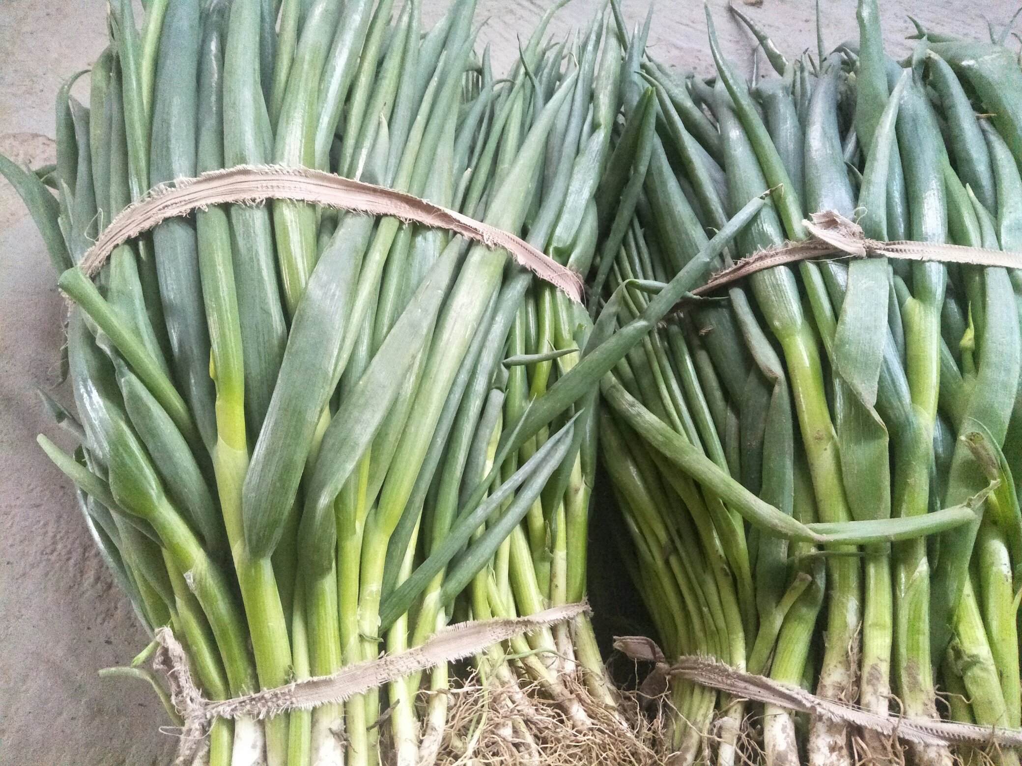 小葱清洗过程