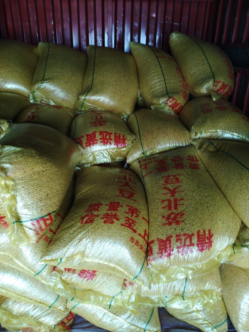 豆丹，特种养殖，豆丹卵，豆虫卵，豆虫豆丹配套技术