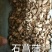 石菖蒲石昌蒲石菖莆菖蒲根不是水菖蒲各种中药材