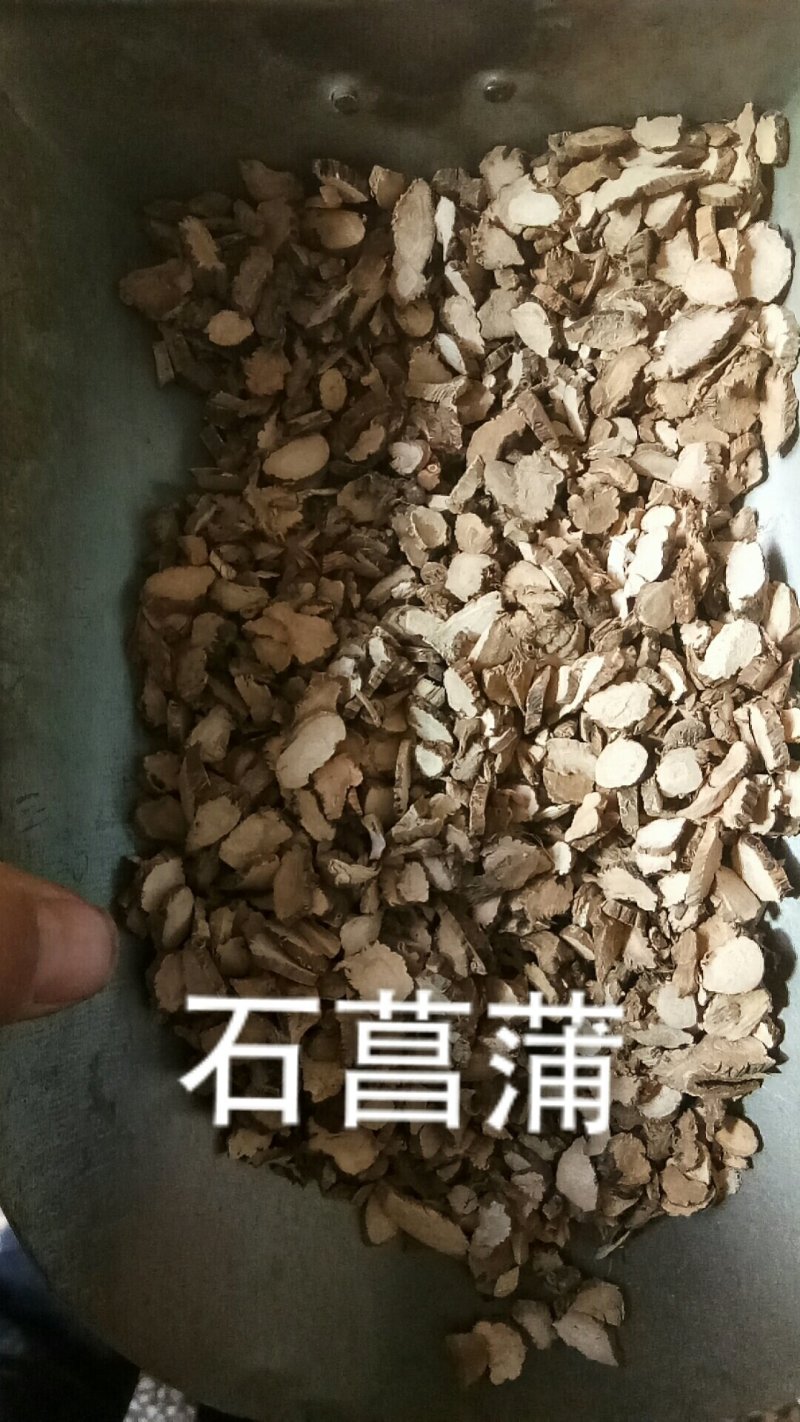 石菖蒲石昌蒲石菖莆菖蒲根不是水菖蒲各种中药材